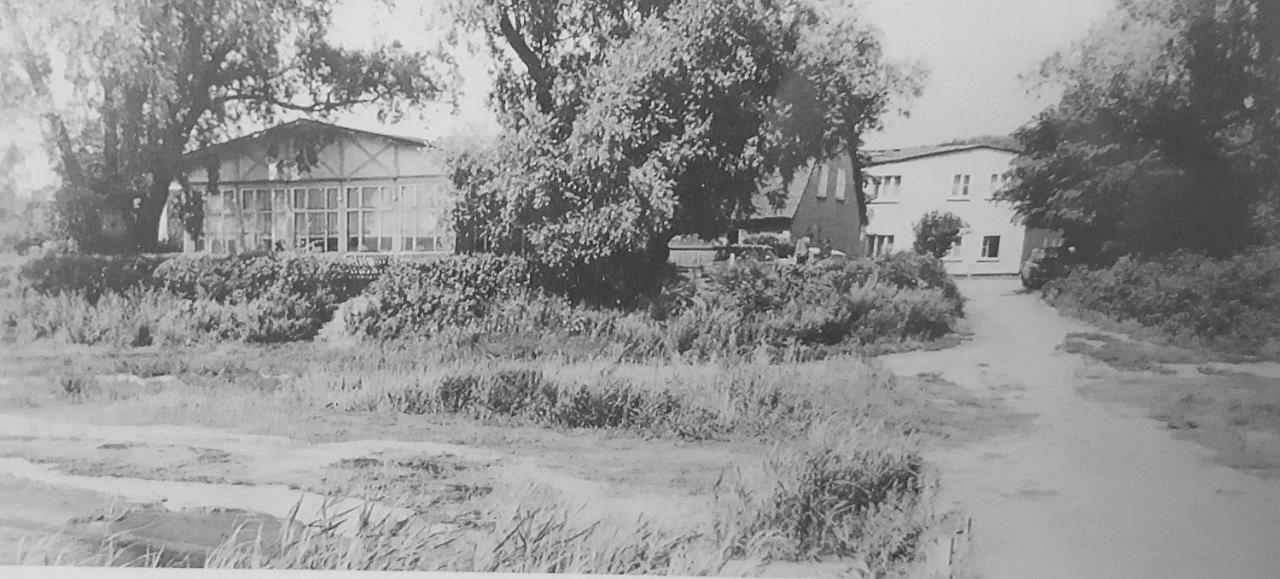Hotel Inselhof Vineta Zempin Exterior foto